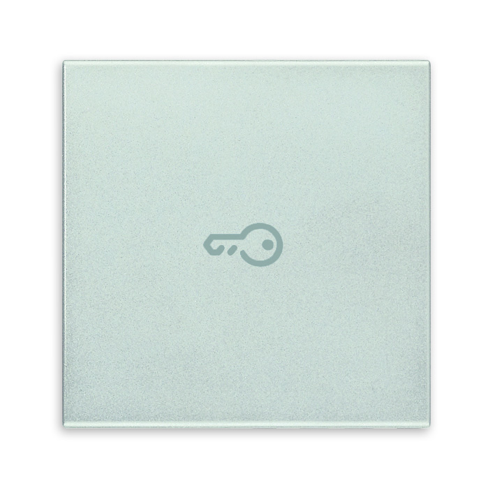20132.P.N Клавиша для коаксиальных устройств на 2 модуля символом "ключ", серебро матовое Vimar Eikon фото