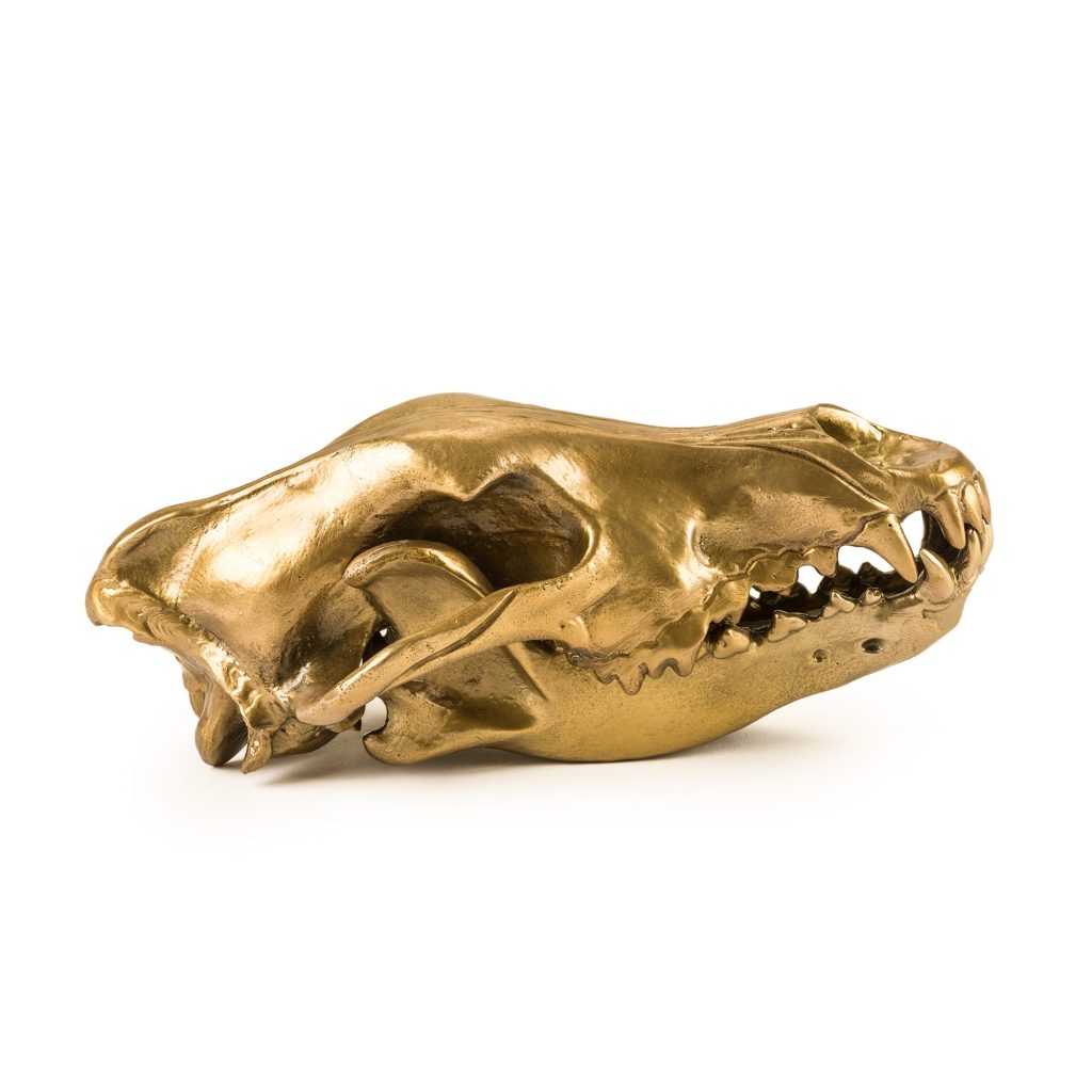 Статуэтка Wunderkrammer Wolf Skull Seletti 10892 фото