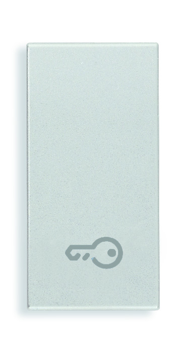 20021.P.N Клавиша на 1 модуль символом "ключ", серебро матовое Vimar Eikon фото