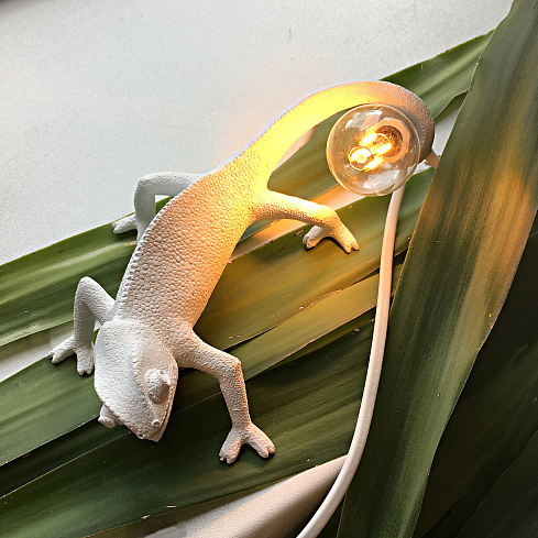 Настенный светильник Chameleon Going Up USB Seletti 15092 фото