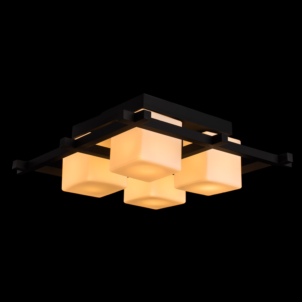 Настенно-потолочный светильник Arte Lamp Woods A8252PL-4CK фото