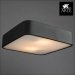 Настенно-потолочный светильник Arte Lamp Cosmopolitan A7210PL-2BK фото