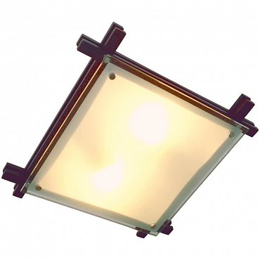 Настенно-потолочный светильник Globo Edison 48324-2 фото