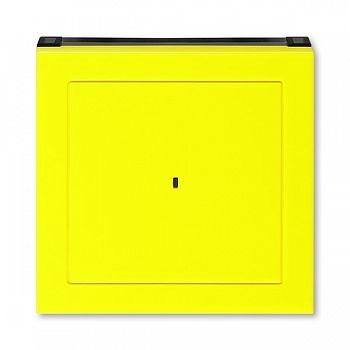 Накладка ABB Levit для выключателя карточного жёлтый / дымчатый чёрный 3559H-A00700 64 2CHH590700A4064 фото