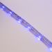 Дюралайт LED, свечение с динамикой (3W) - синий, 24 LED/м, бухта 100м NEON-NIGHT 121-323-4 фото