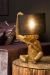 Интерьерная настольная лампа Extravaganza Chimp 10502/81/30 Lucide фото