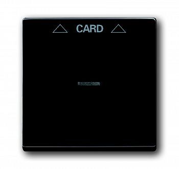 1710-0-3639 (1792-81), Плата центральная (накладка) для механизма карточного выключателя 2025 U, цвет антрацит/чёрный, ABB фото