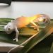 Настенный светильник Chameleon Going Up USB Seletti 15092 фото