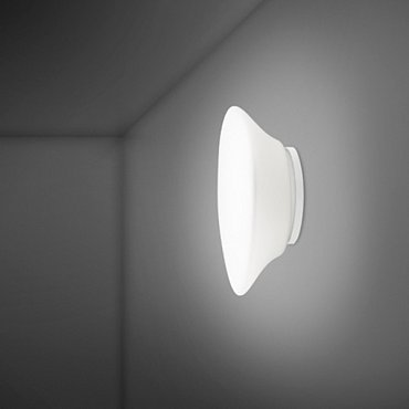 Настенный/Потолочный светильник Fabbian Lumi F07G1701 фото