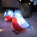 Акриловая светодиодная фигура Семья снегирей 16х9х13 см, 40 LED, IP20, 3хАА NEON-NIGHT NEON-NIGHT 513-346 фото